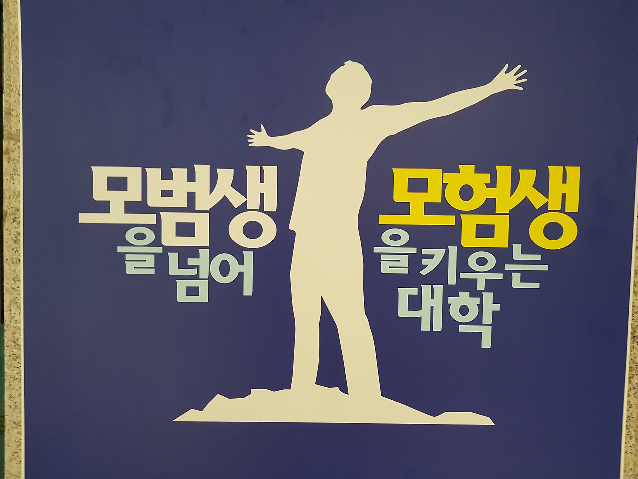 2018-11-14 15.41.38.jpg