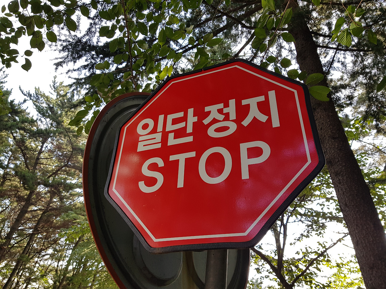 2018-08-21 08.28.32.jpg