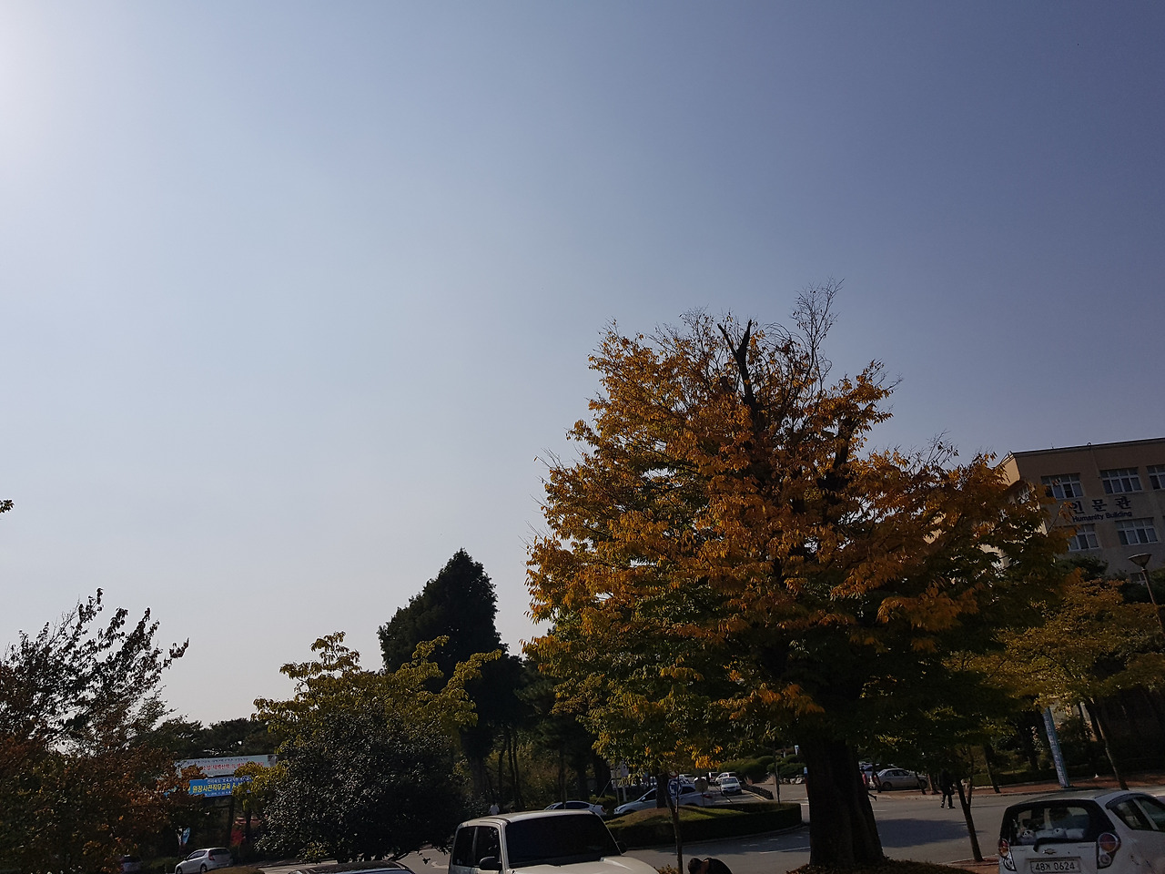 2018-10-23 13.50.27.jpg