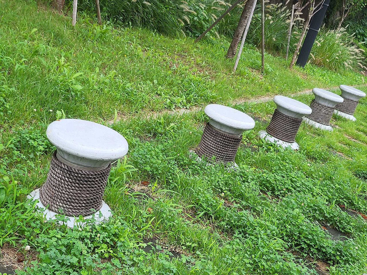 2021-08-31 08.19.21.jpg