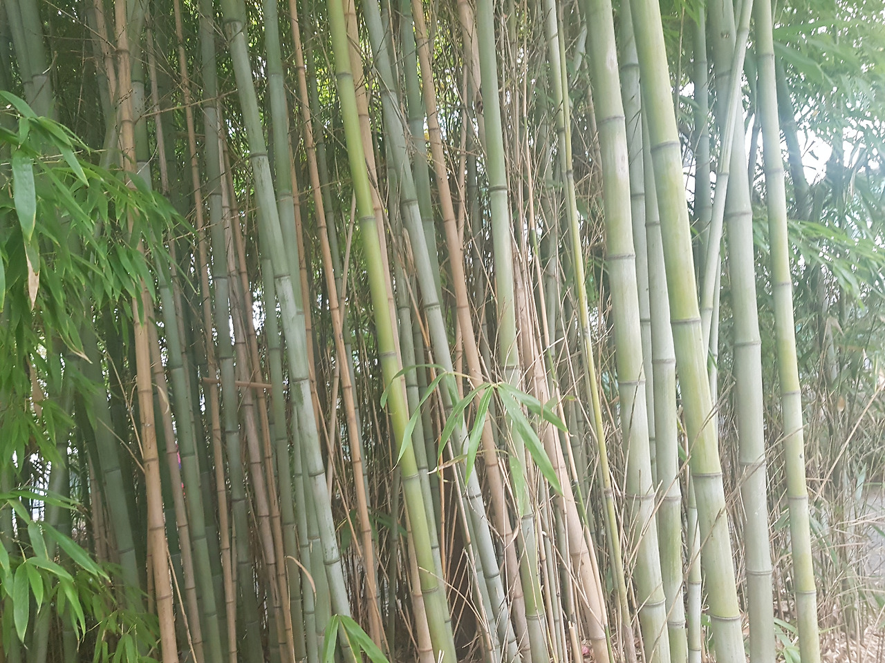 2018-10-18 13.21.33.jpg