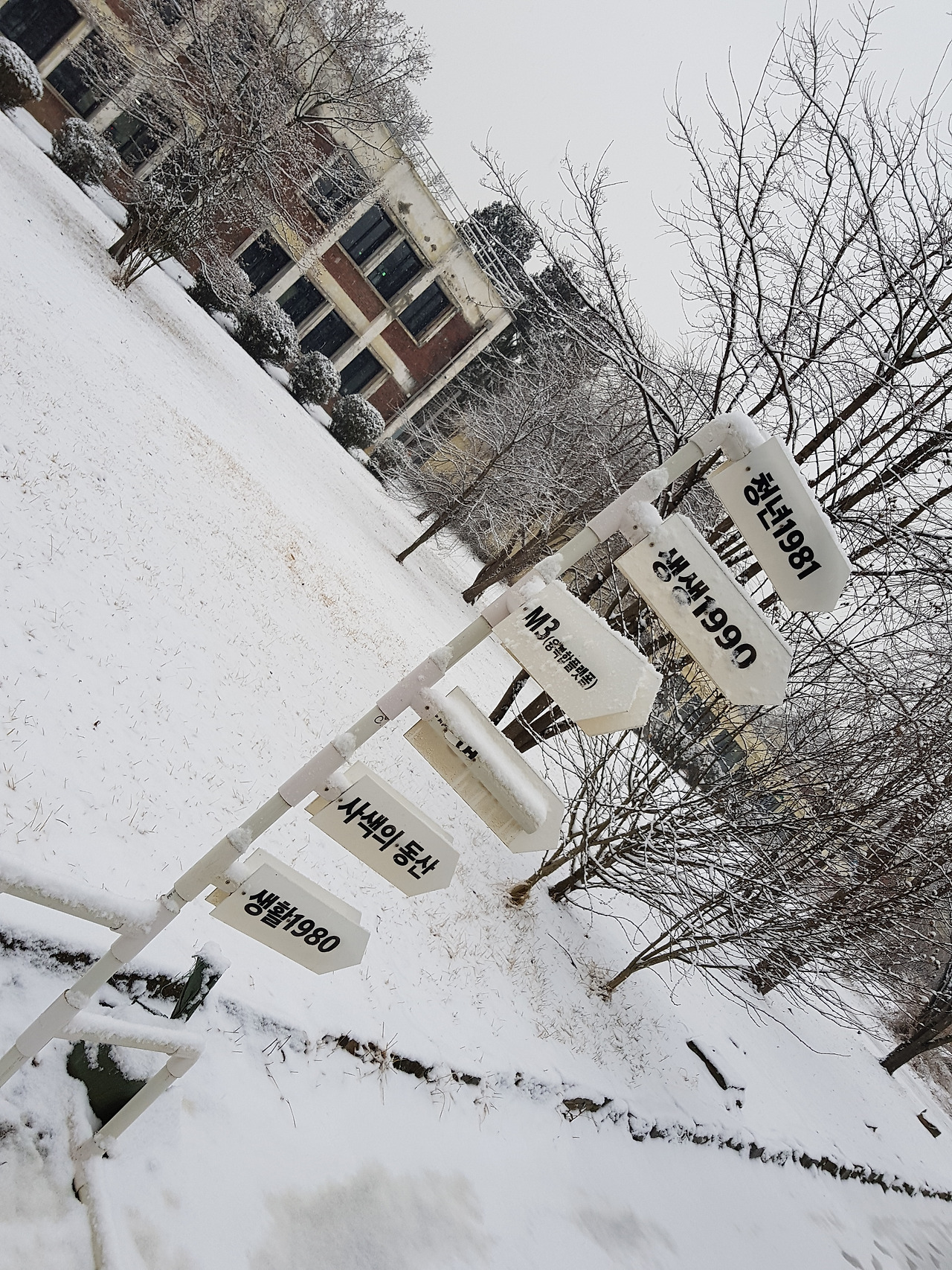 2019-02-19 08.28.09.jpg