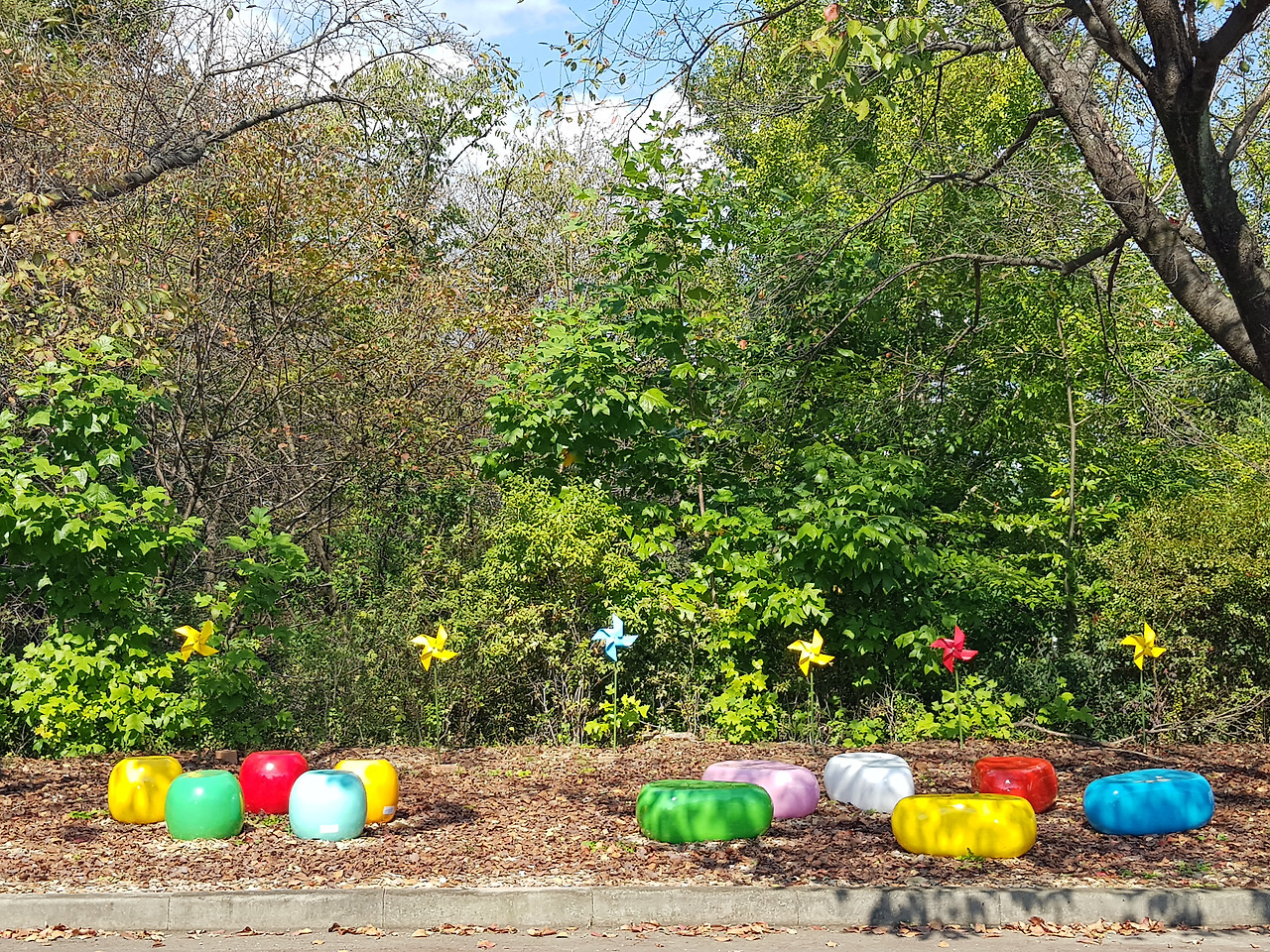 2018-10-11 12.48.11.jpg