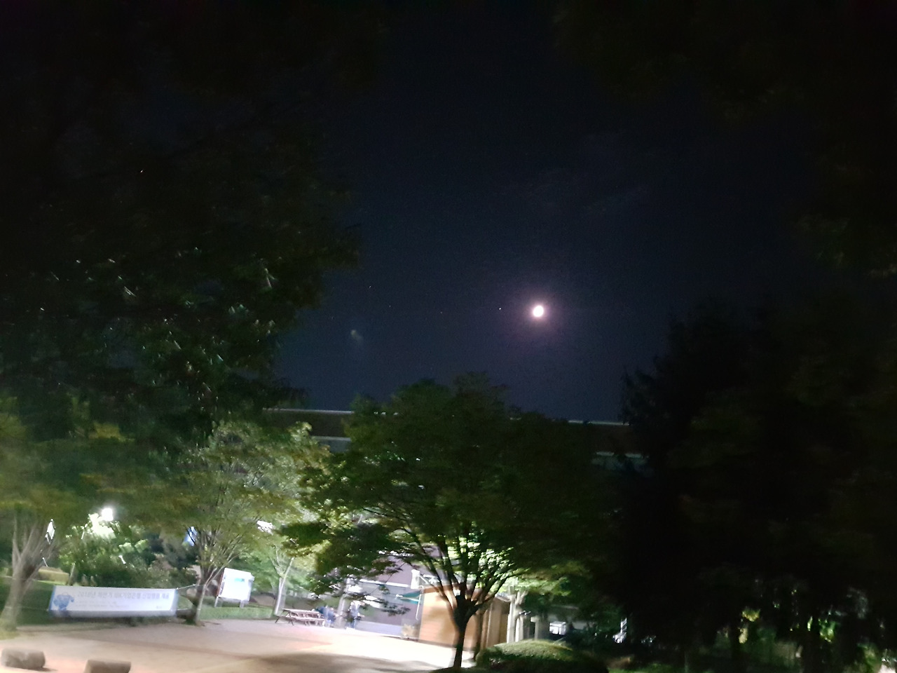 2018-09-17 20.48.50.jpg