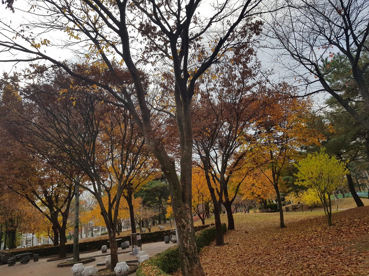 2018-11-13 09.28.23.jpg