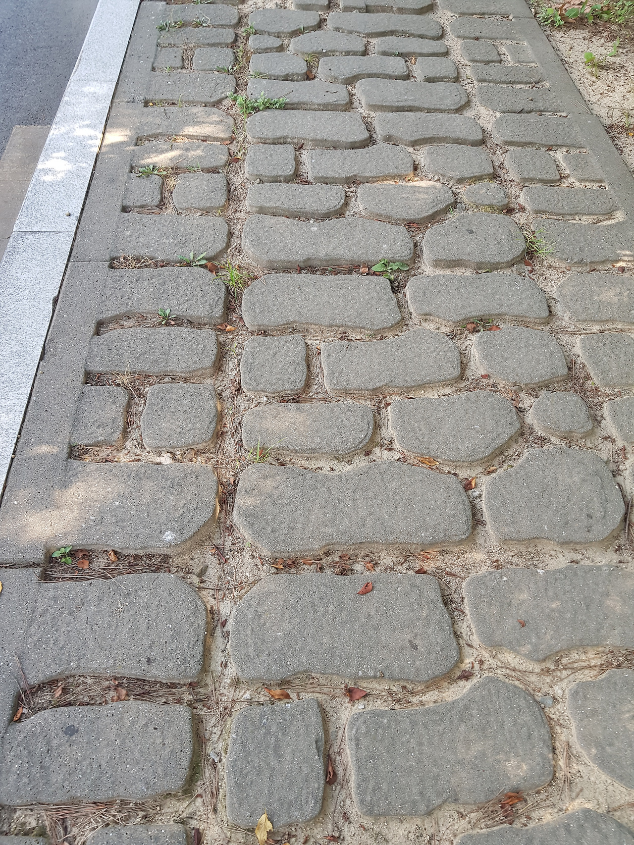 사본 -2018-08-14 08.09.22.jpg