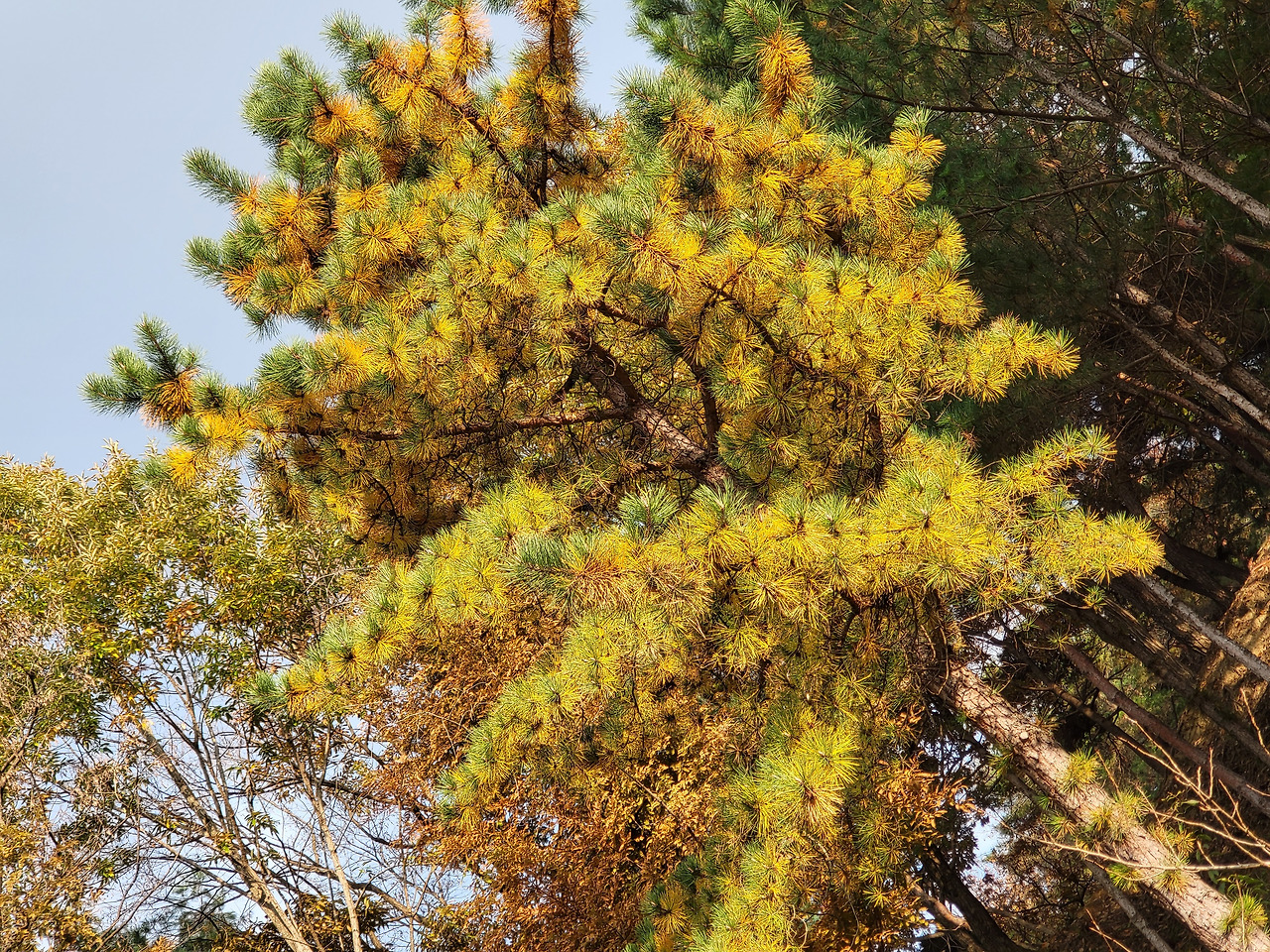 2021-11-04 15.26.19.jpg