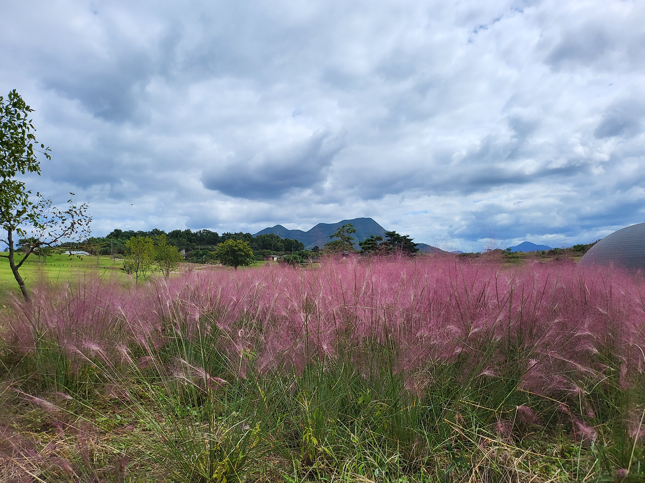 2021-09-26 12.24.39.jpg