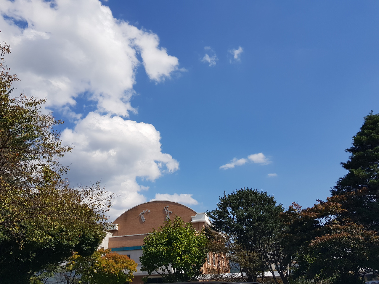 2018-10-11 13.07.54.jpg