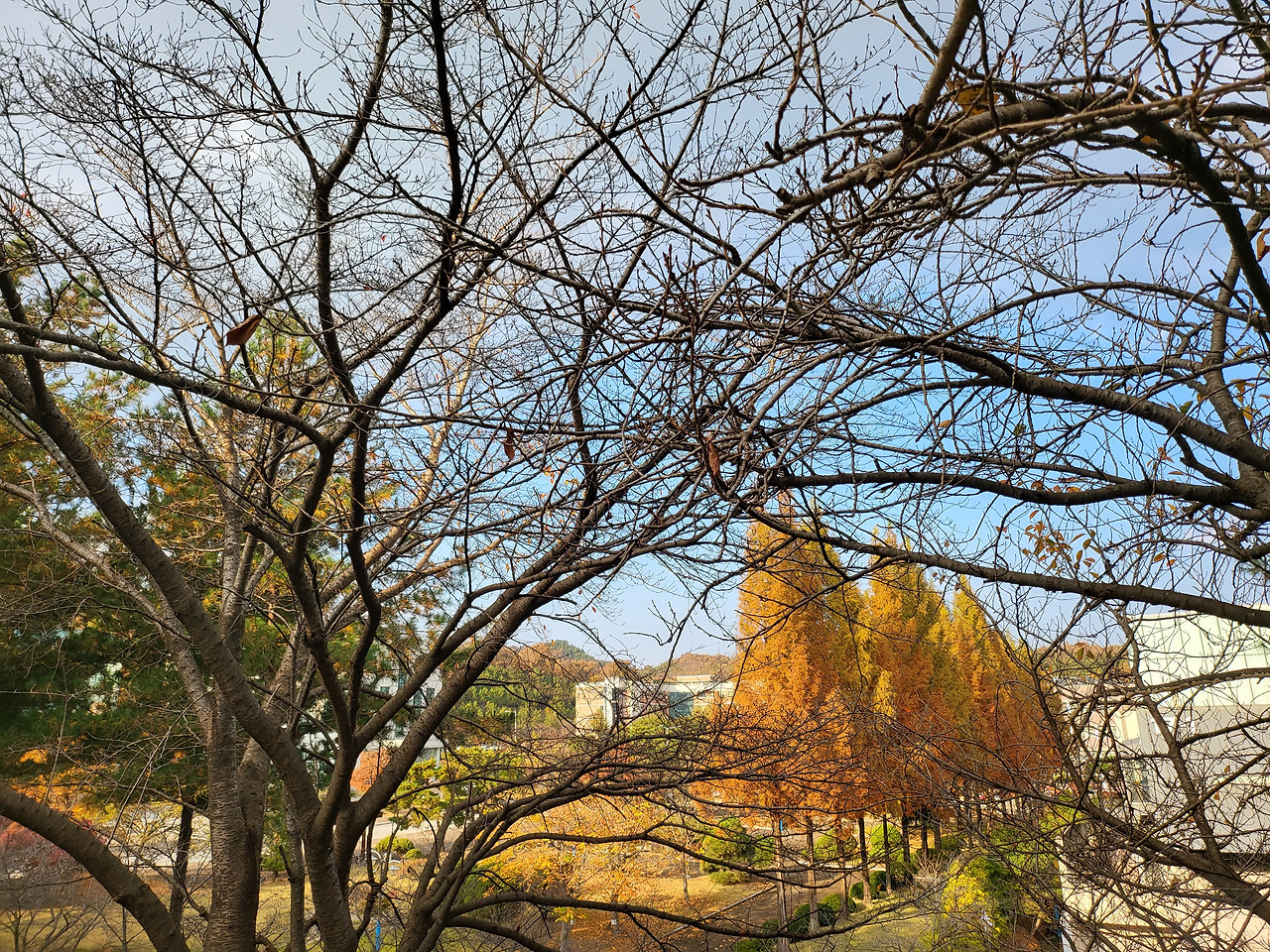 2021-11-04 15.27.07.jpg