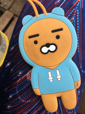 17 미얀마 꼬질 라이언.jpg