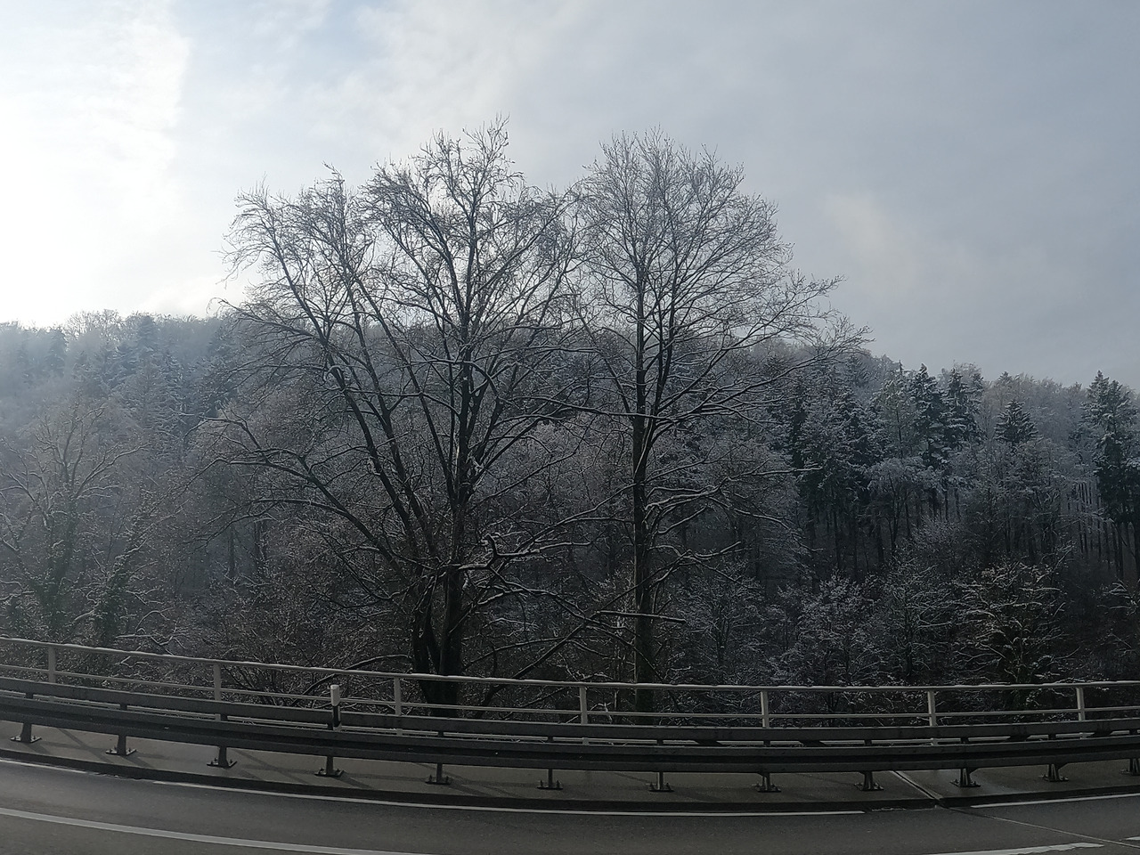 GPTempDownload (1).jpg