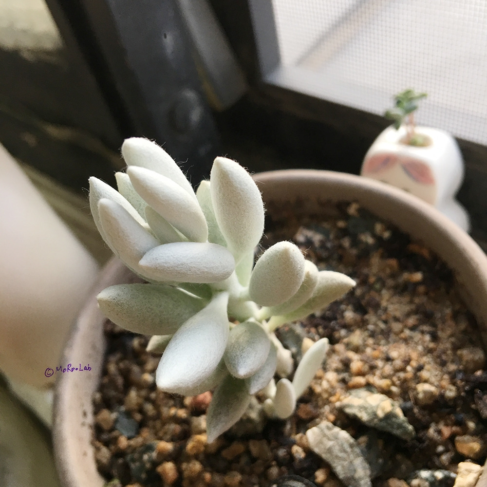 20200122_02 복사.jpg