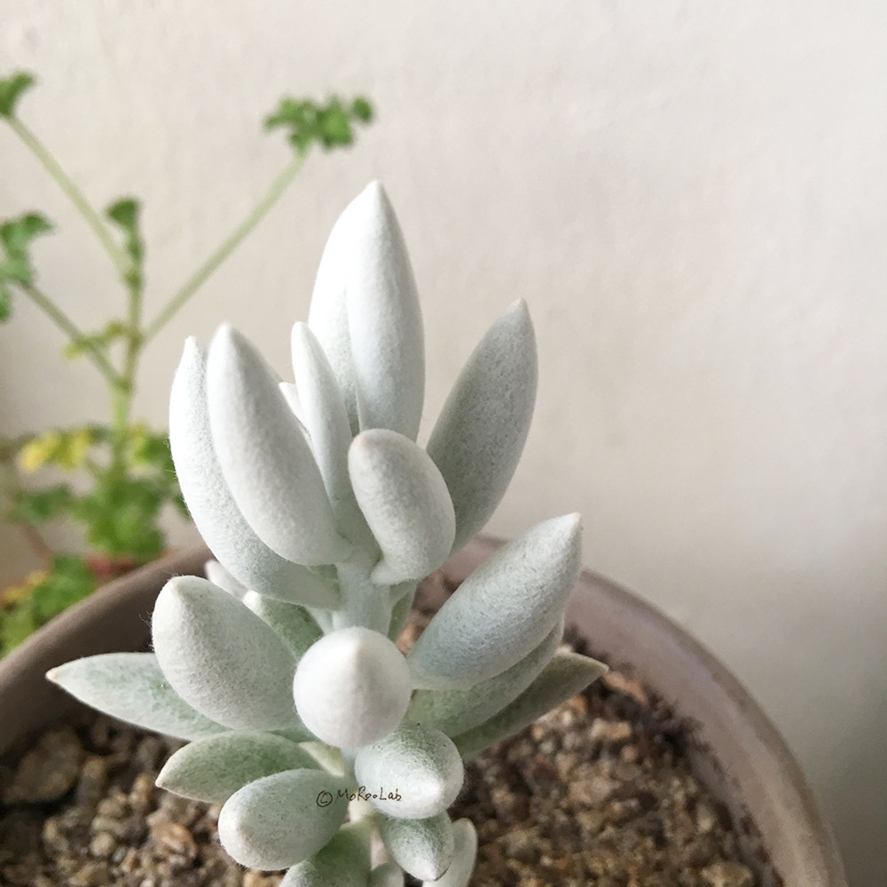 20200130_03 복사.jpg