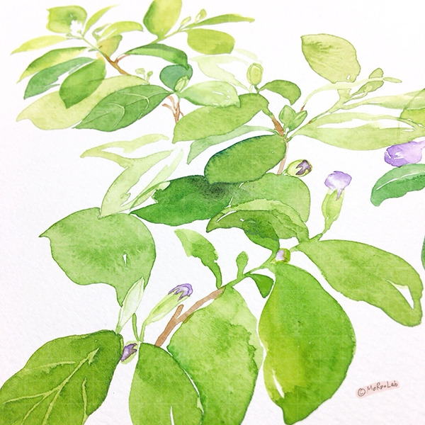 KakaoTalk_20200501_030935115_031 복사1-2.jpg