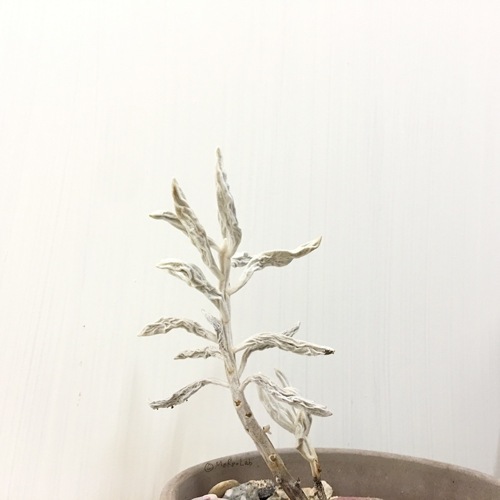 20190930_02 복사.jpg