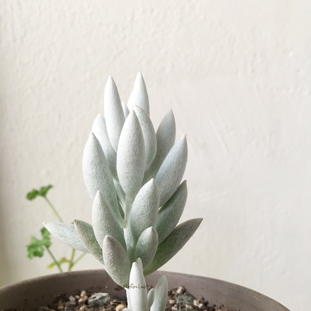 20200130_02 복사.jpg