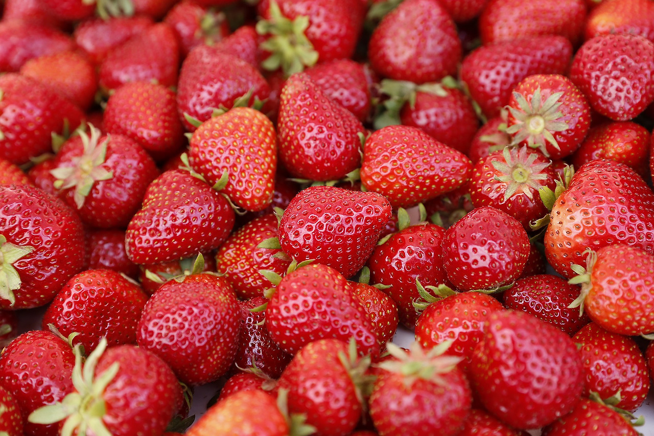 strawberry-4387631_1920.jpg