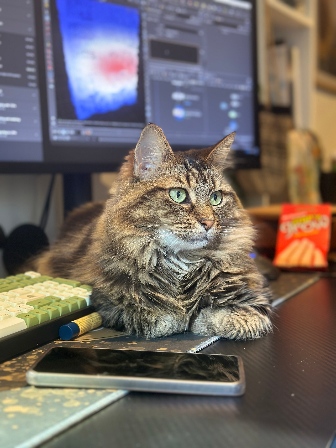 고양이 에고 명상 02.jpg