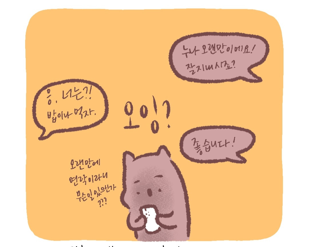 스카우트