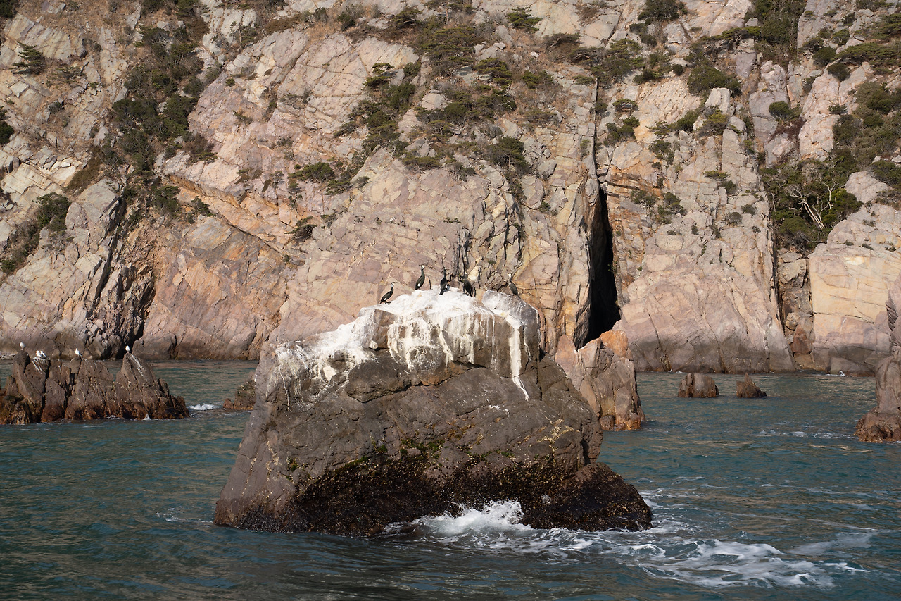 DSC00579 - 복사본.jpg