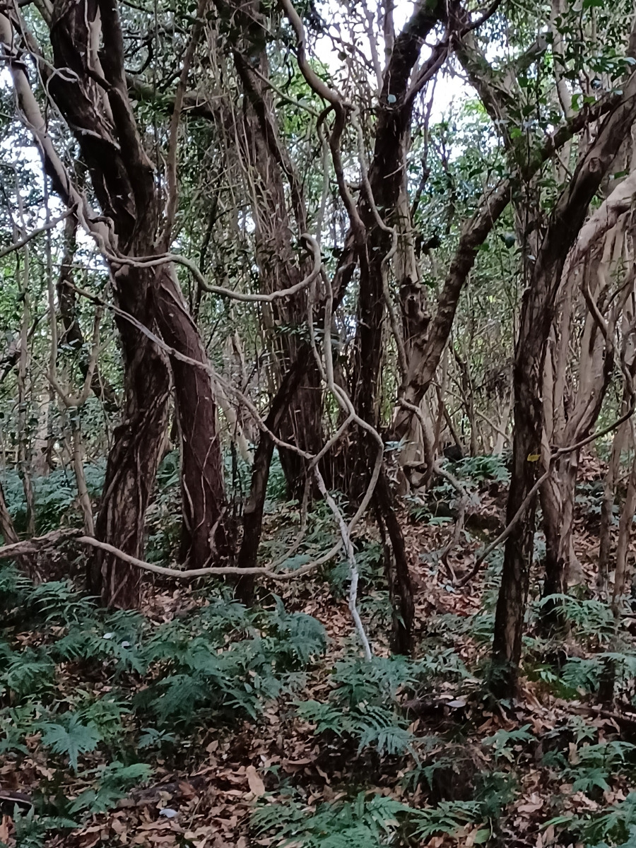 20211228＿152808 (1).jpg