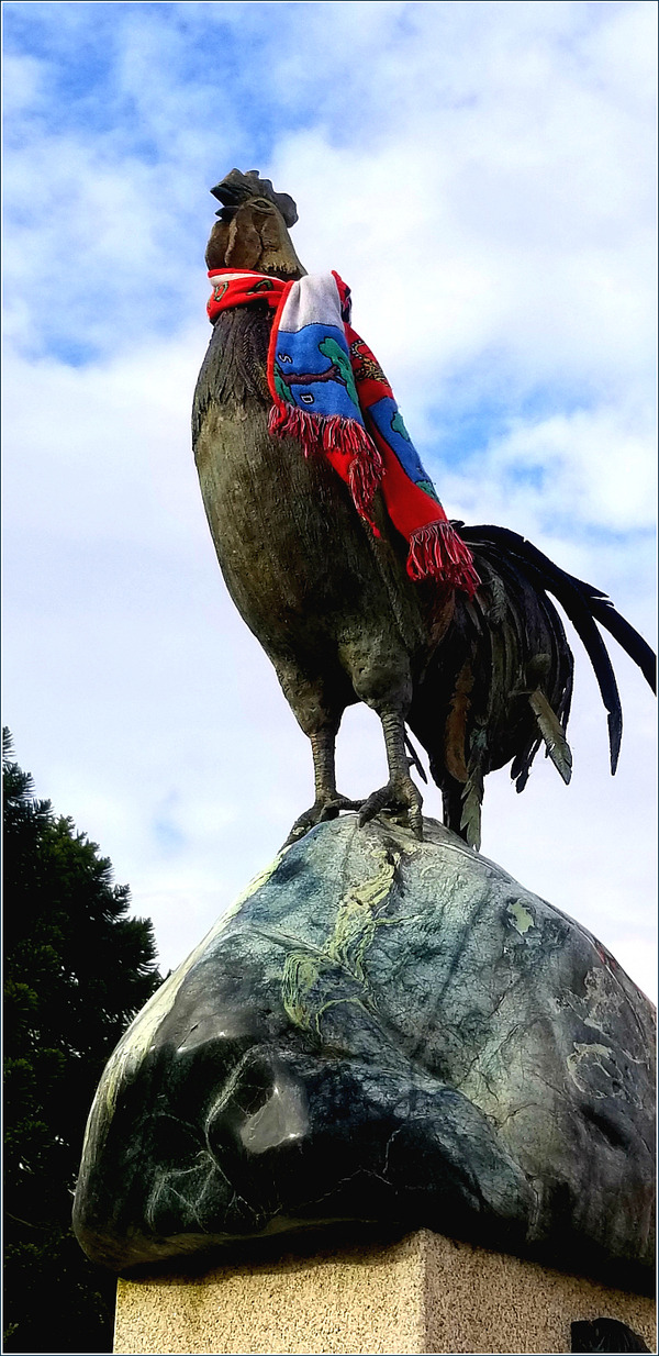 SE-4b88c1c7-1165-4337-9ec3-71c67658f463 (1).jpg