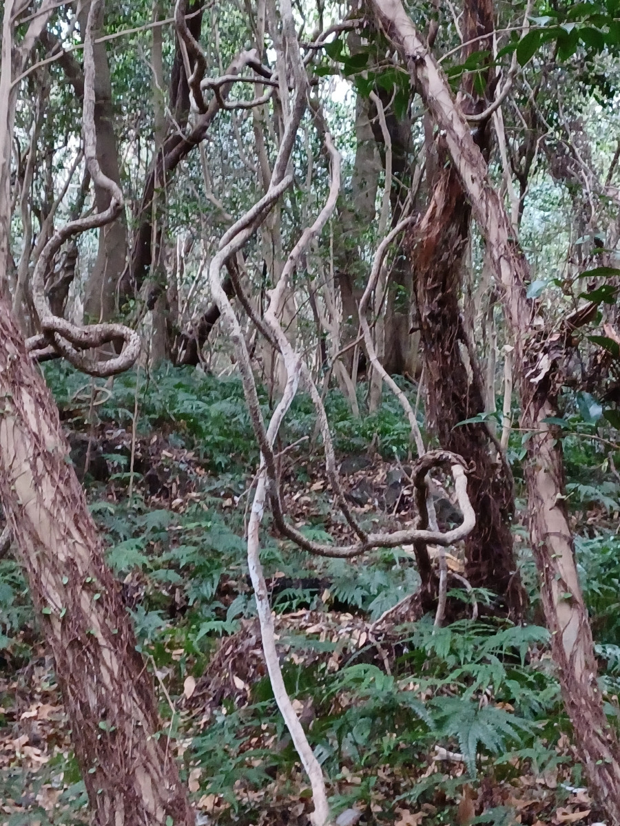 20211228＿152745 (1).jpg