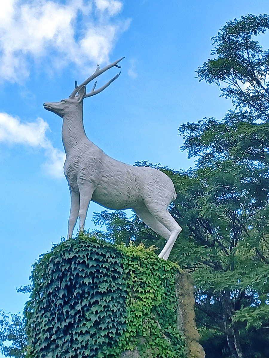 SE-b0f5d2e3-31c6-11ee-bd5a-b32d79defe7b (1).jpg