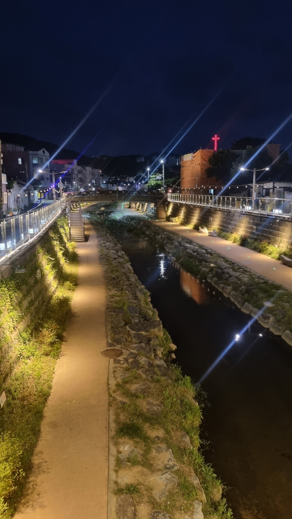 제민천의 밤.jpg