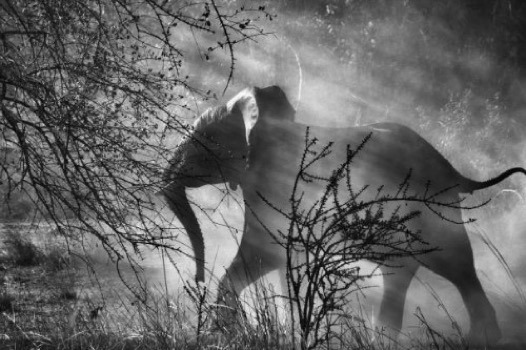 최평순 2.jpg