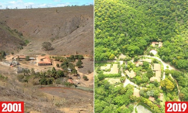 최평순 3.jpg