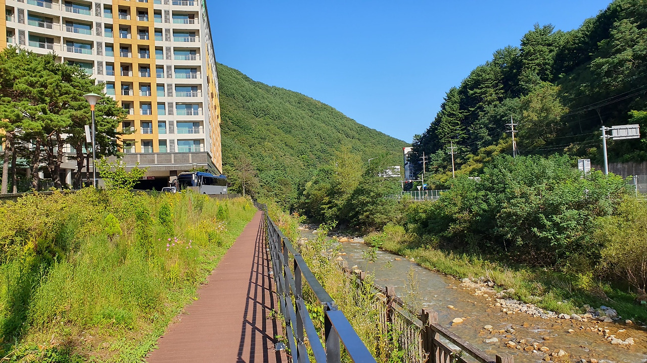 리조트 맑은 개울.jpg