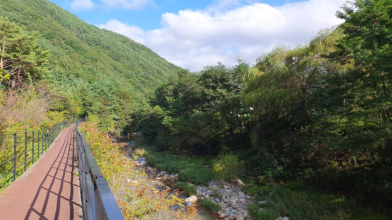 고한 개울 대크.jpg