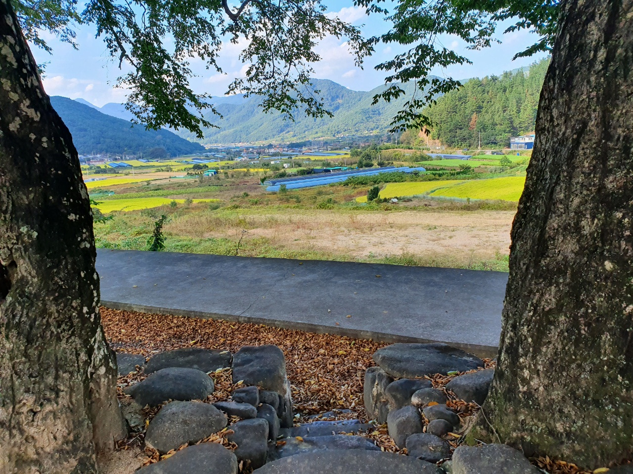 상봉숲 계단.jpg