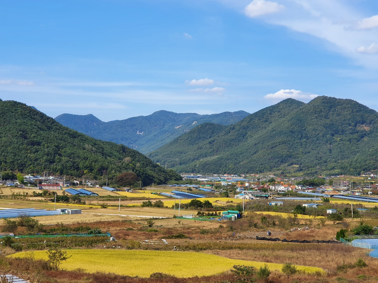 상봉 가을 뜰.jpg