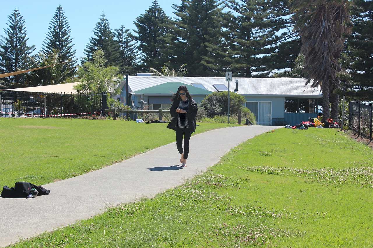 호주 찬미 숲길 걷기.jpg