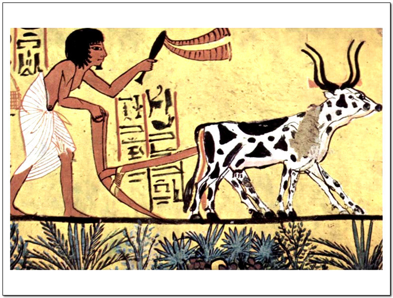 신석기 혁명.jpg