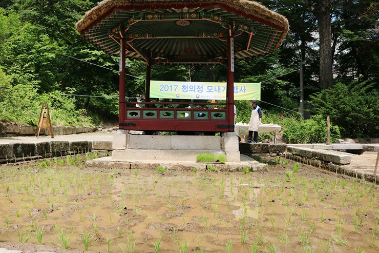 창경궁 춘당지.jpg