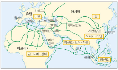 중세 이슬람 상인 활동 루트.jpg