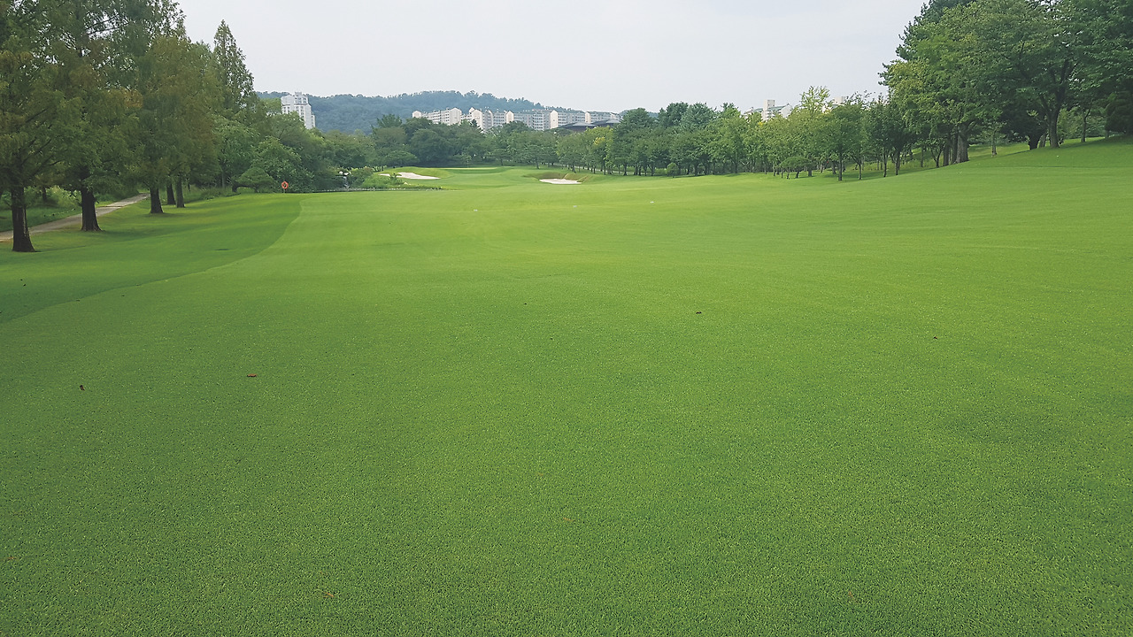 16번 파5 홀 페어웨이.jpg