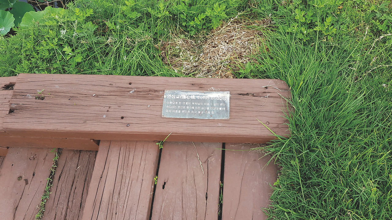 6번 홀 연심교.jpg