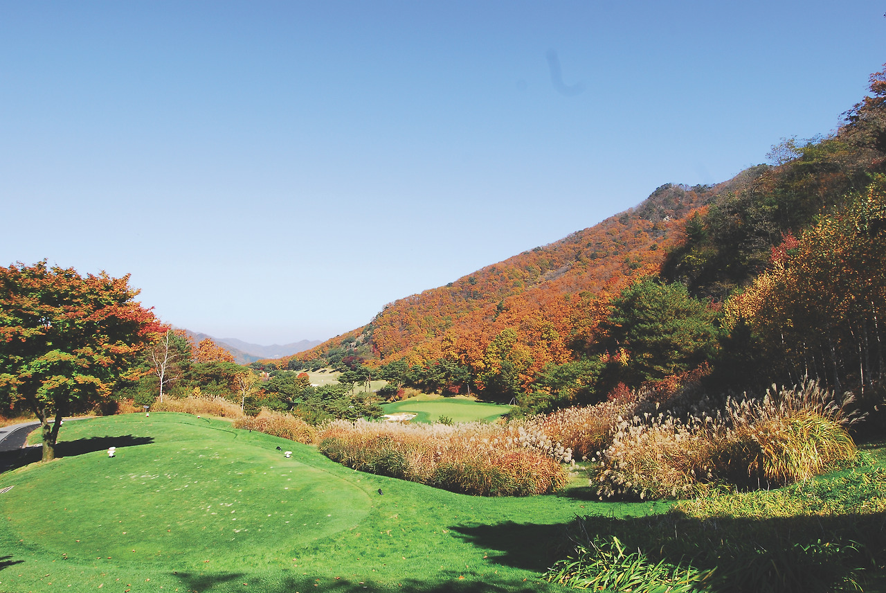 헤라 - 청평마이다스.jpg