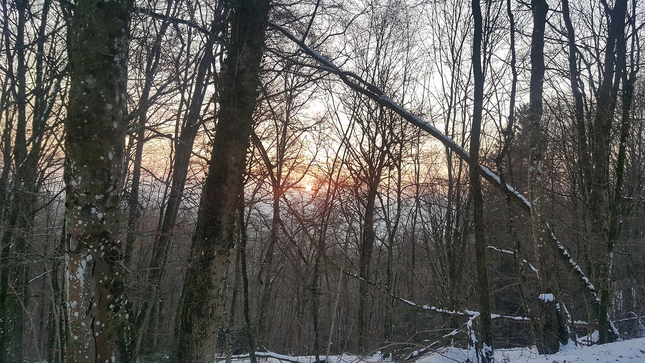 20170120_082714.jpg