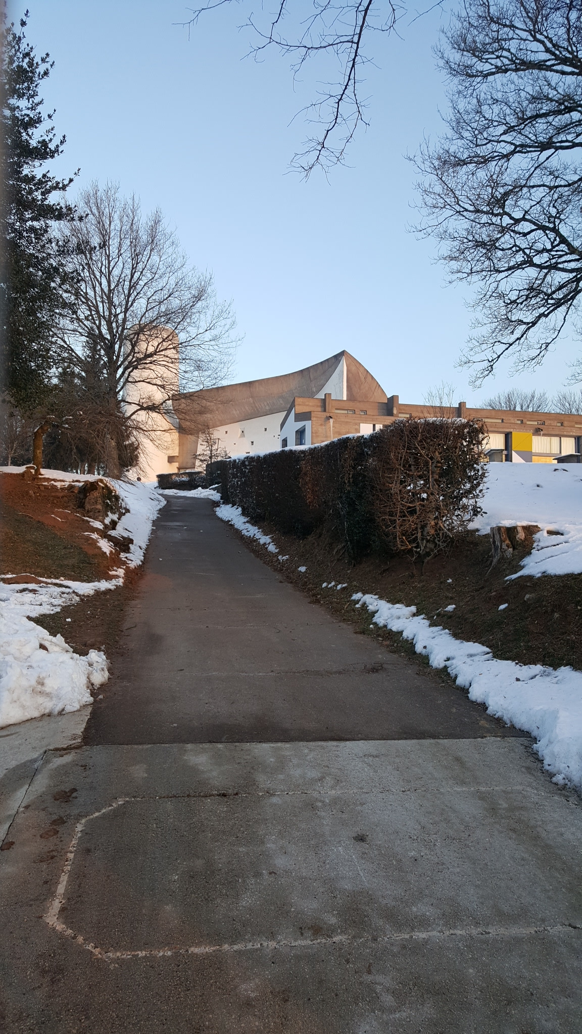 20170120_083855.jpg