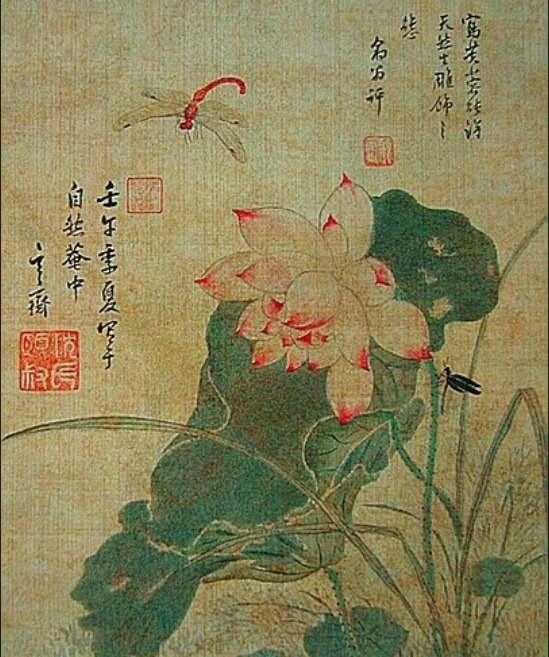 심사정-연꽃과 잠자리.jpg