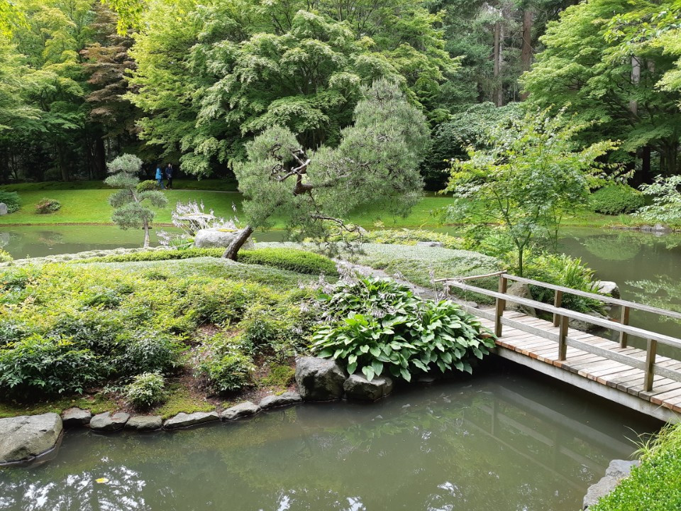 일본식 정원.jpg