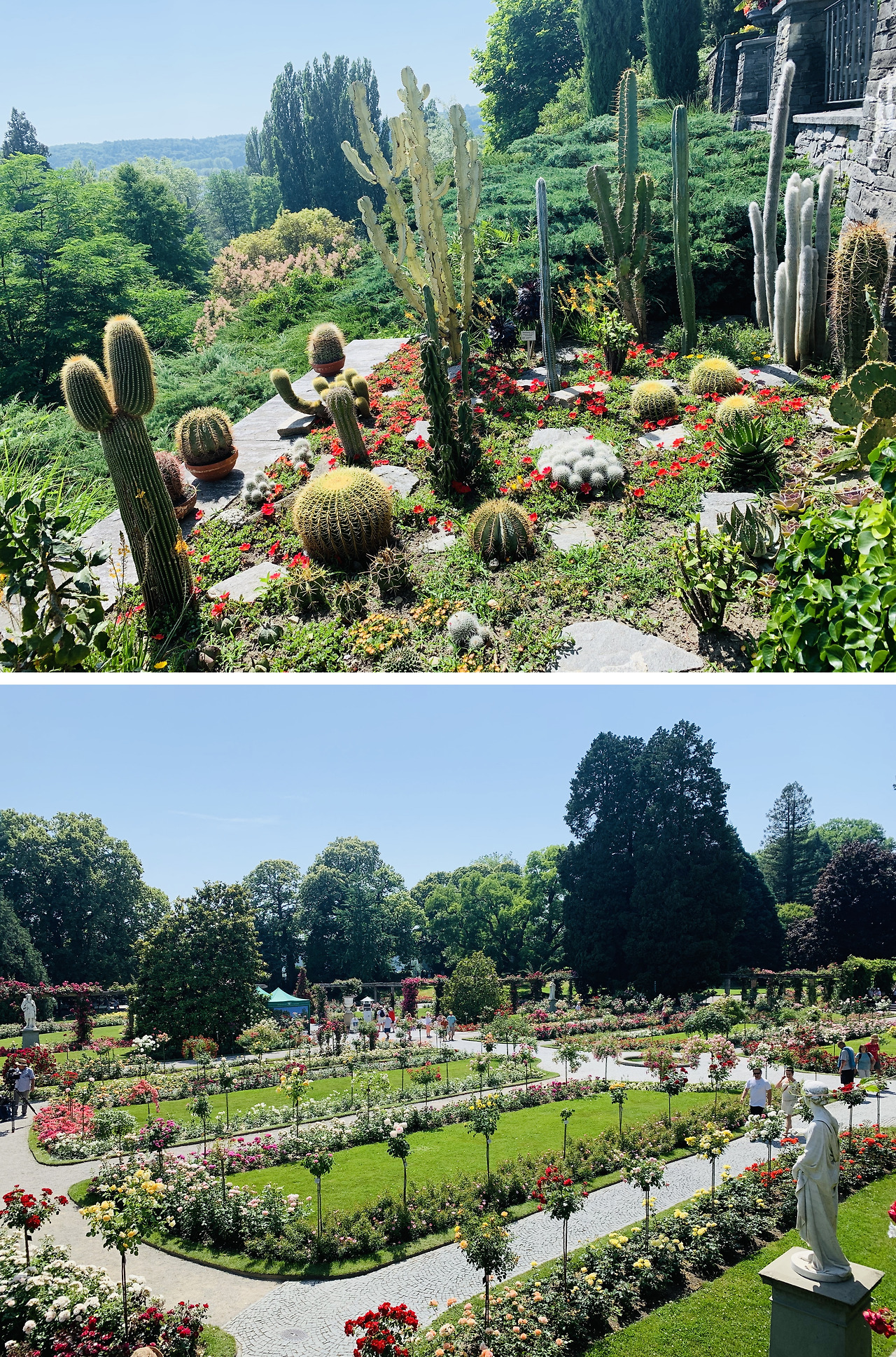 마이나우 정원.jpg