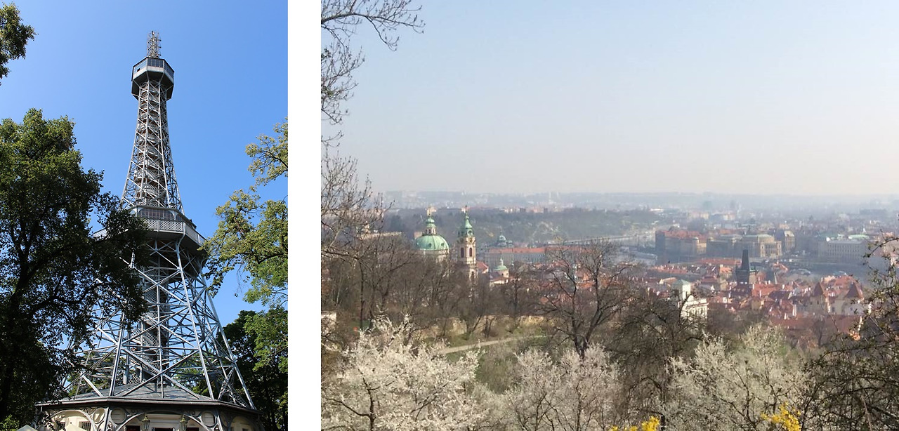 페트리진 탑.jpg