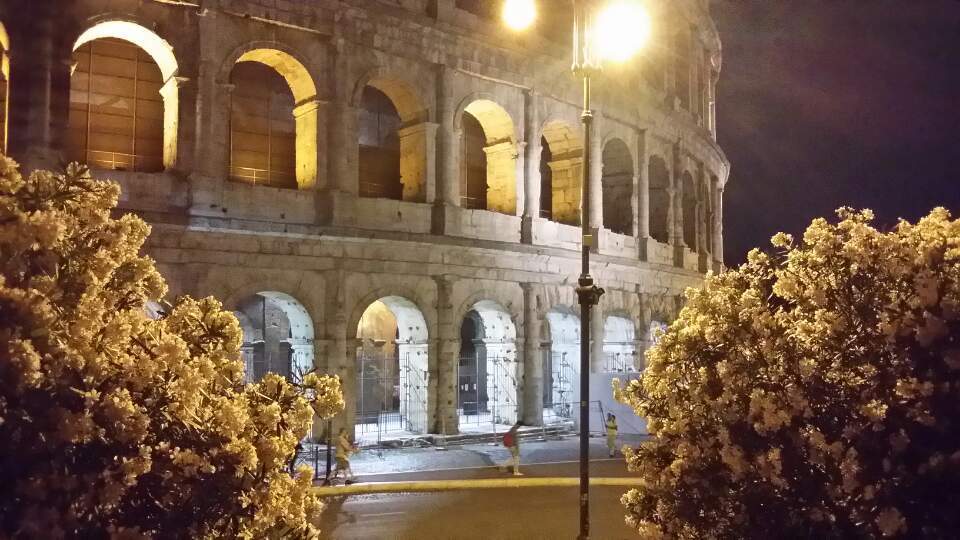 콜로세움의 꽃.jpg